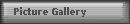 Picture Gallery