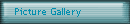 Picture Gallery