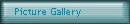 Picture Gallery