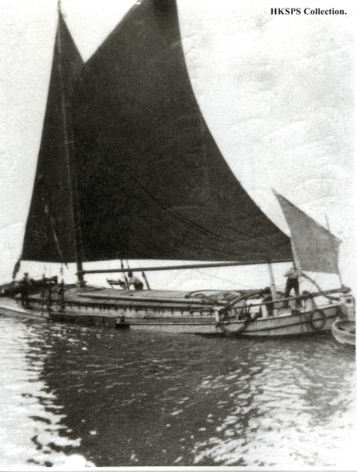 87764 Sloop