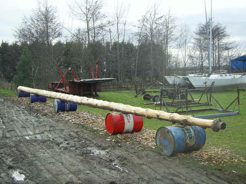 From Tree to Mast.